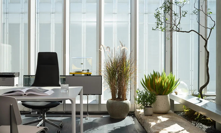 茶文化辦公室設計效果