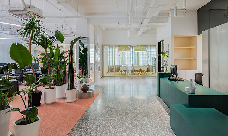 辦公室裝修現(xiàn)場完工照 辦公室裝修現(xiàn)場完工照